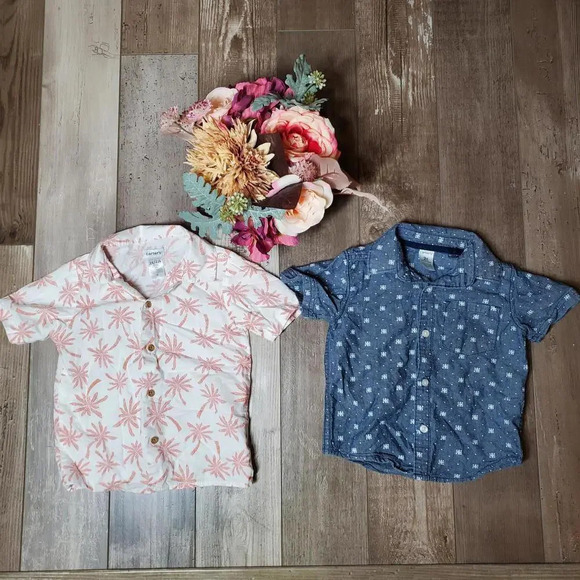 Carters Size 2T Toddler Boy Button Down Shirt Bundle 100% Cotton EUC 2 PC - Picture 1 of 15
